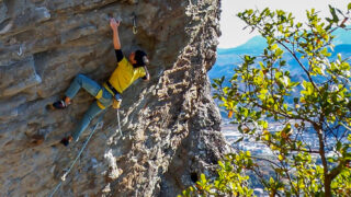 【城山】RP！ケレンジとダスキン多摩