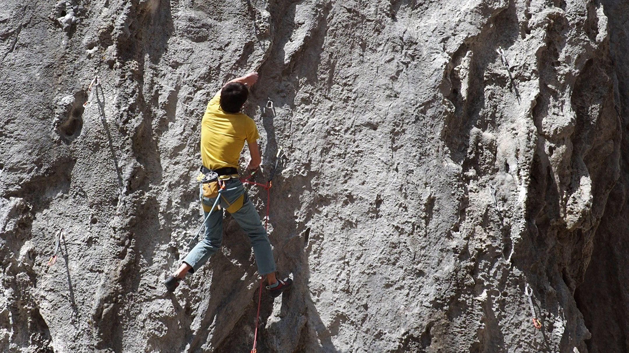 【二子山】穴のムジナDay1