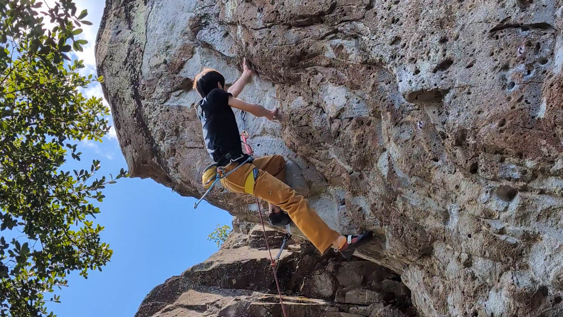 【城山】白壁の微瑕とトゥウェルブモンキー