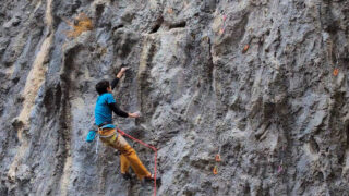 【二子山】シュクァーとジョナサン