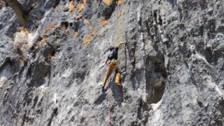 【二子山】真珠入りDay6