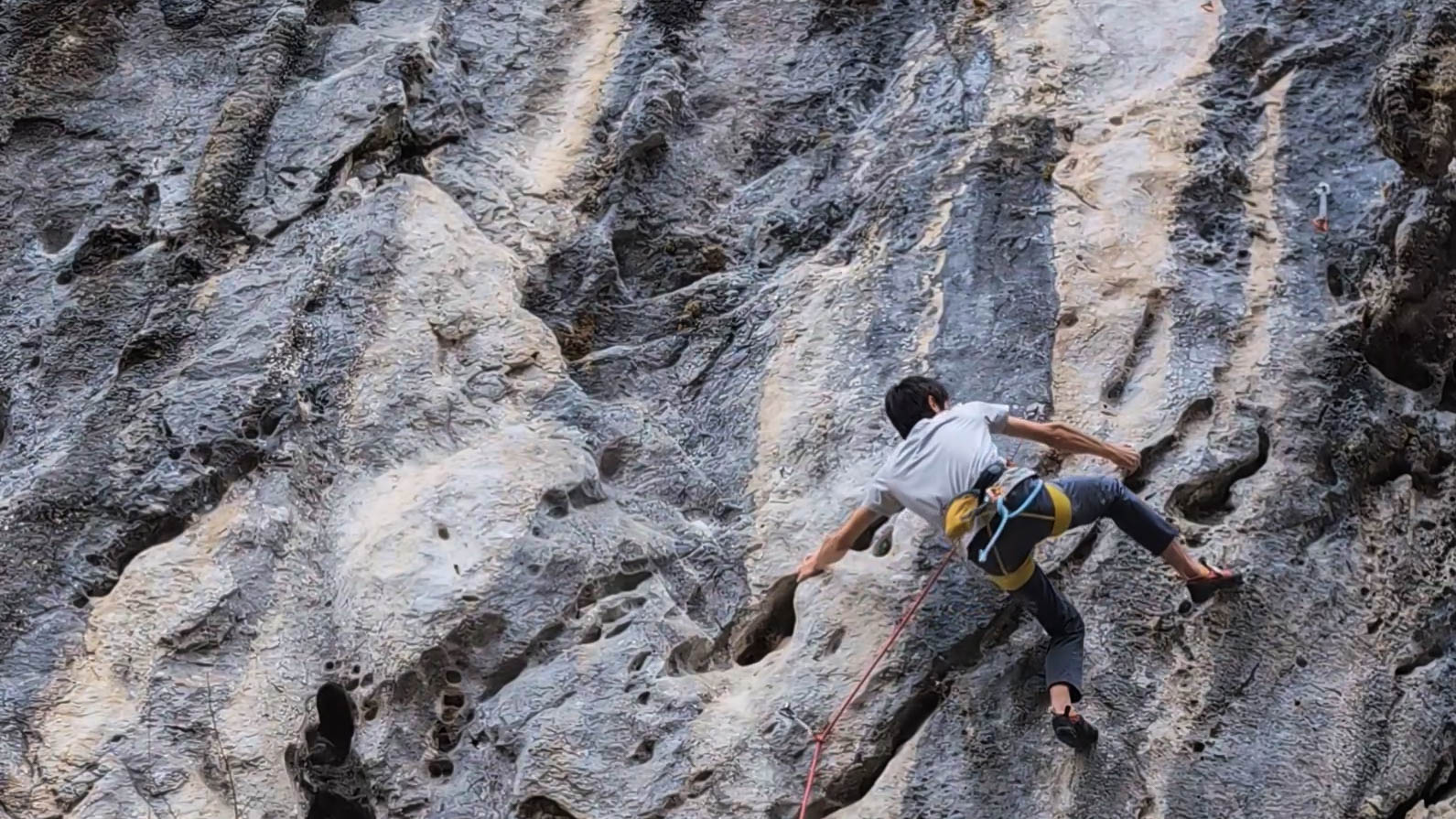 【二子山】唐獅子おさわりと快刀乱麻RP