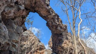 【有笠山】天然記念物：1歩下がって2歩進む